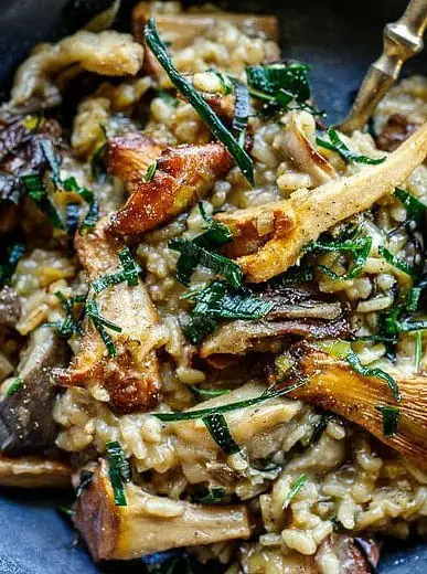 Mushroom Risotto