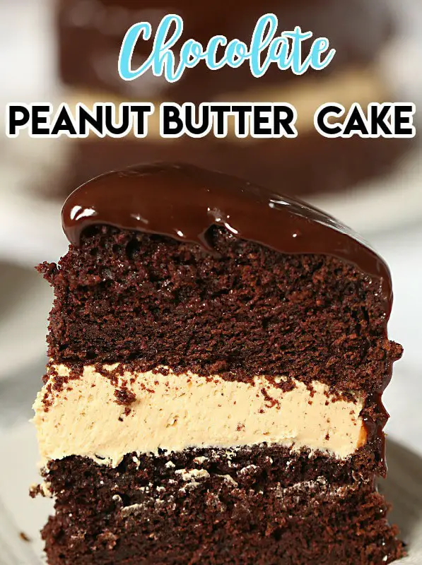 Chocolate Peanut Butter Cake