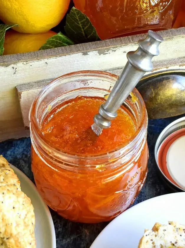 Orange Marmalade Preserves