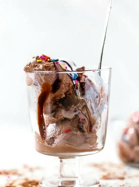 Chocolate Frozen Yogurt