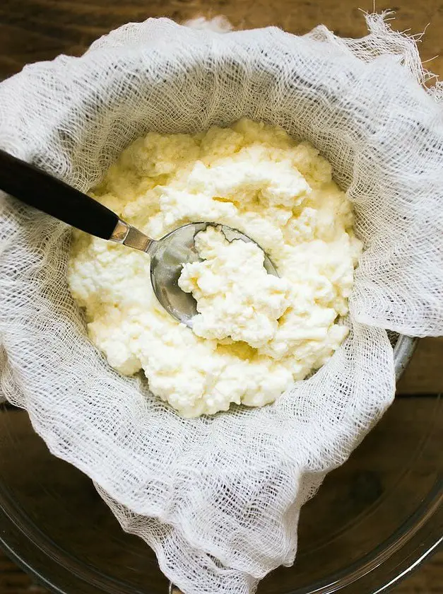 Fresh Homemade Ricotta