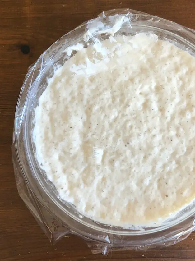 Easy Sourdough Starter