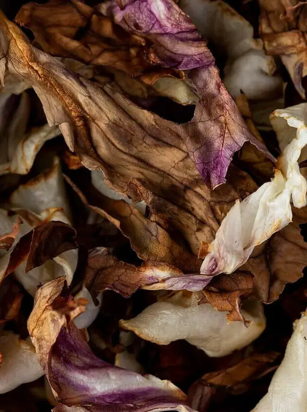 Crispy Roasted Radicchio