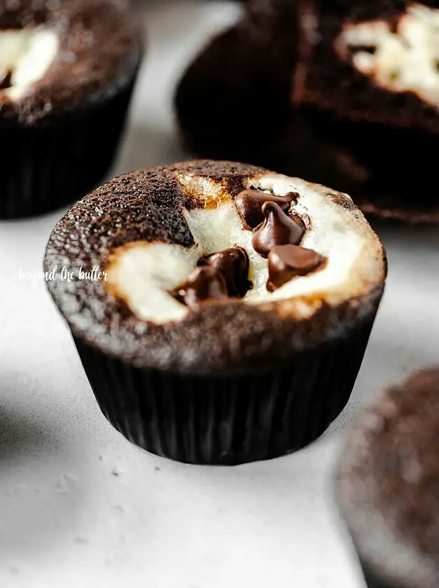 Black Bottom Cupcakes