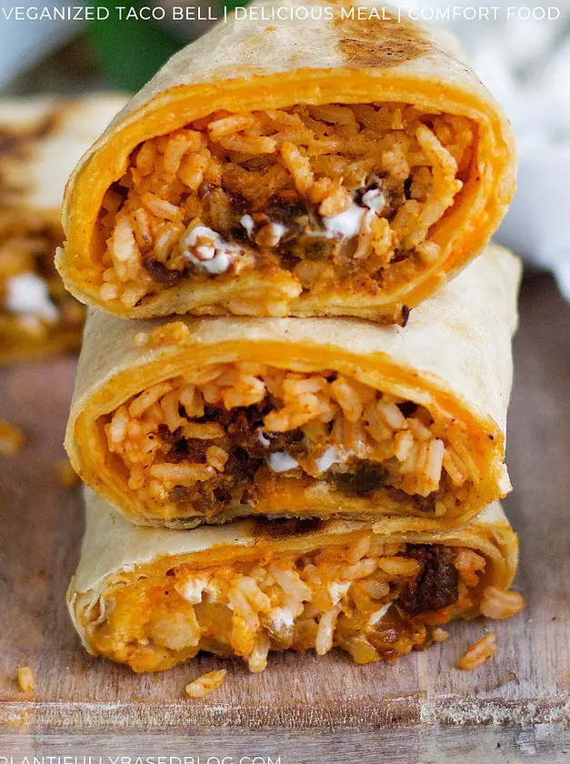 Vegan Quesarito