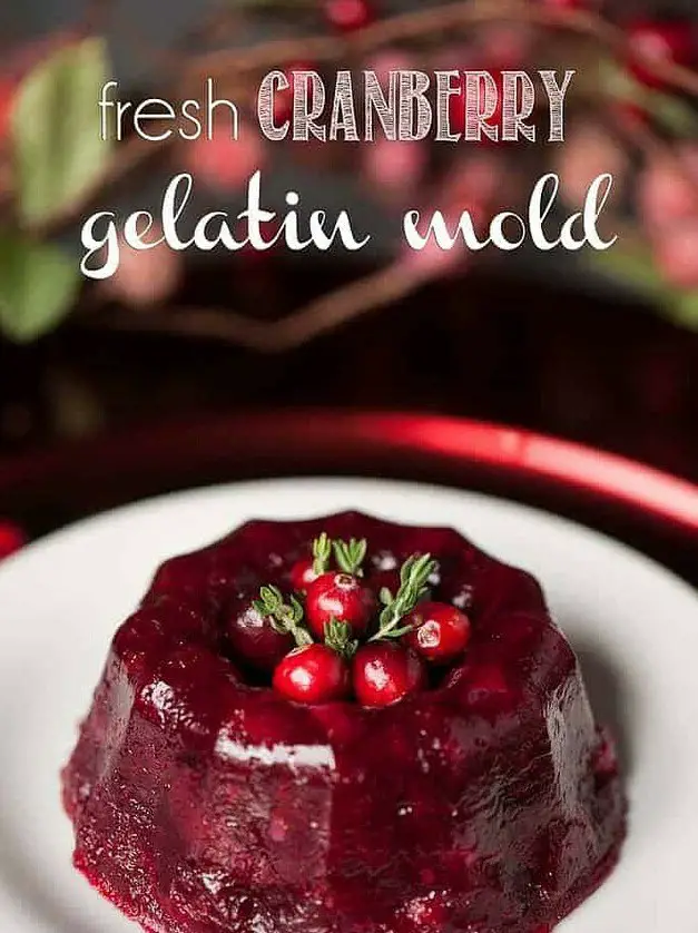 Fresh Cranberry Gelatin Mold