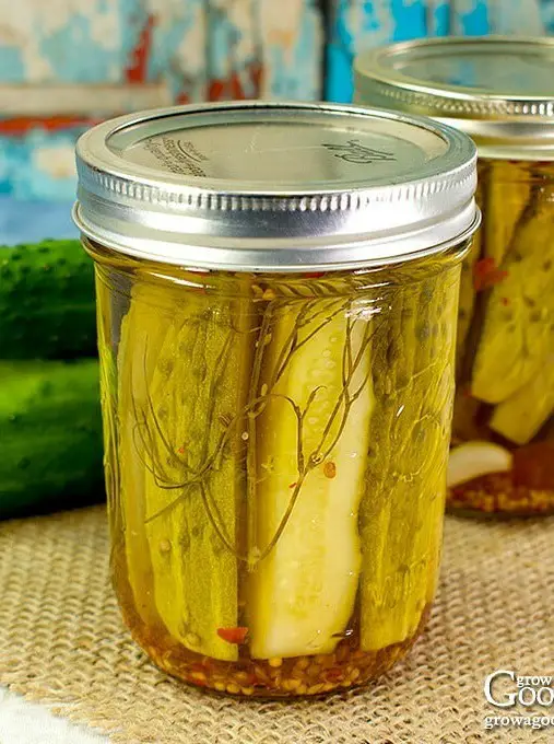 Kosher-Style Dill Pickles