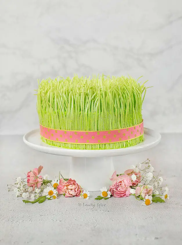 Spring Cake