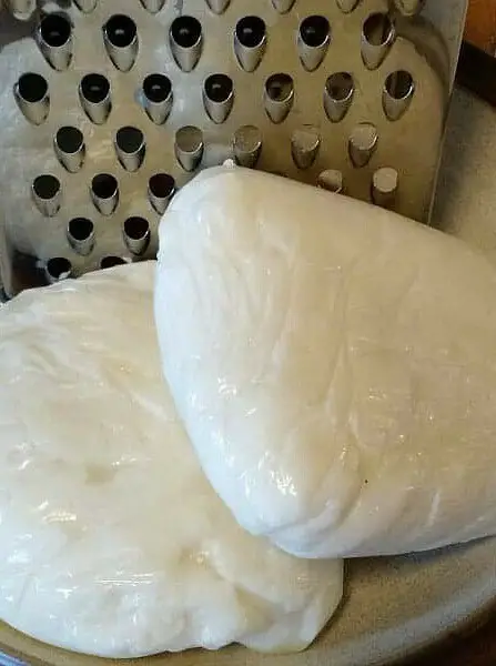 Goat Milk Mozzarella