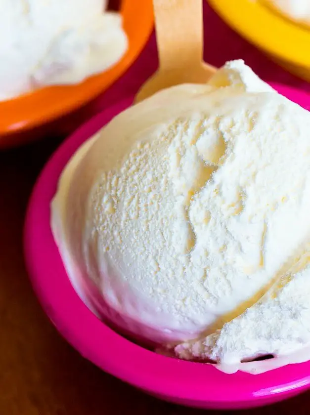 Homemade Frozen Yogurt