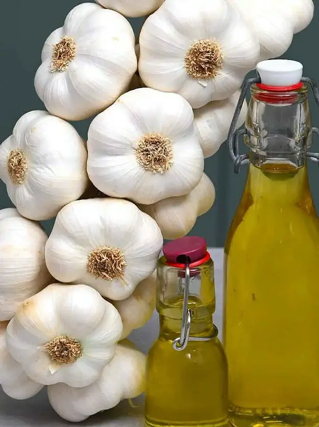 Garlic Infused Olive Oil