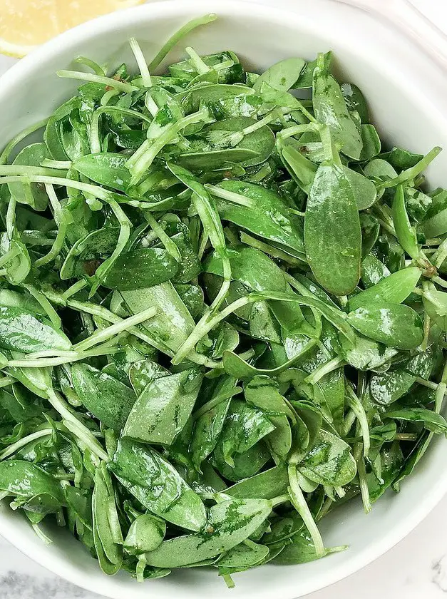 Everyday Indian Salad with Greens