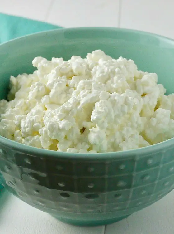 Cultured Raw Milk Cottage Cheese