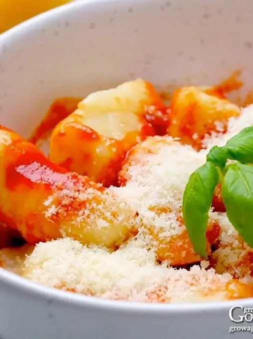 Ricotta Gnocchi in Tomato Sauce