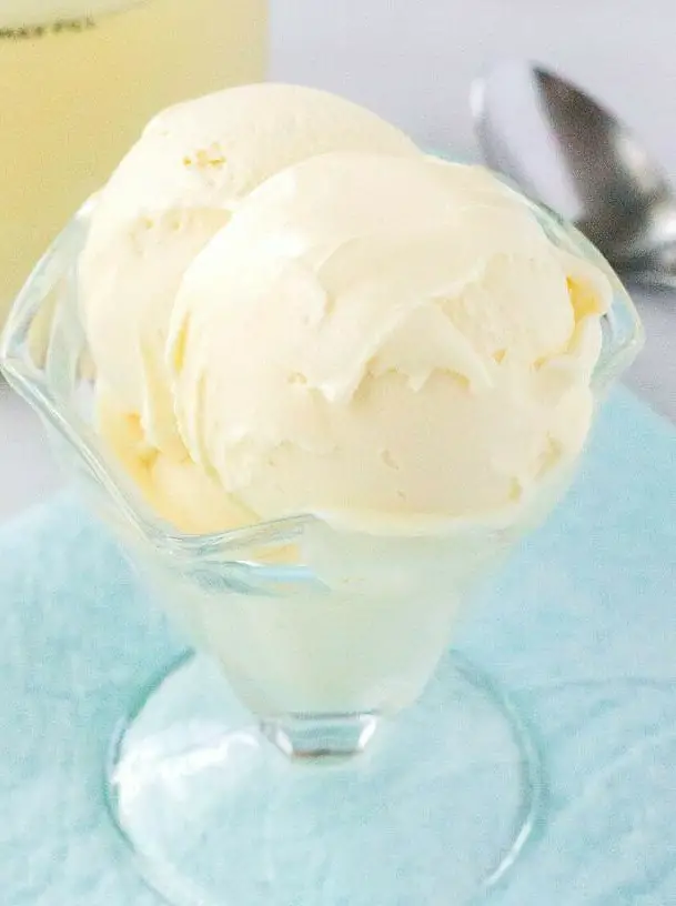 Ninja Creami Vanilla Pudding Ice Cream