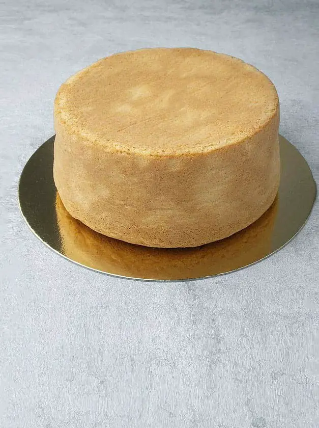 Tall & Moist Sponge Cake