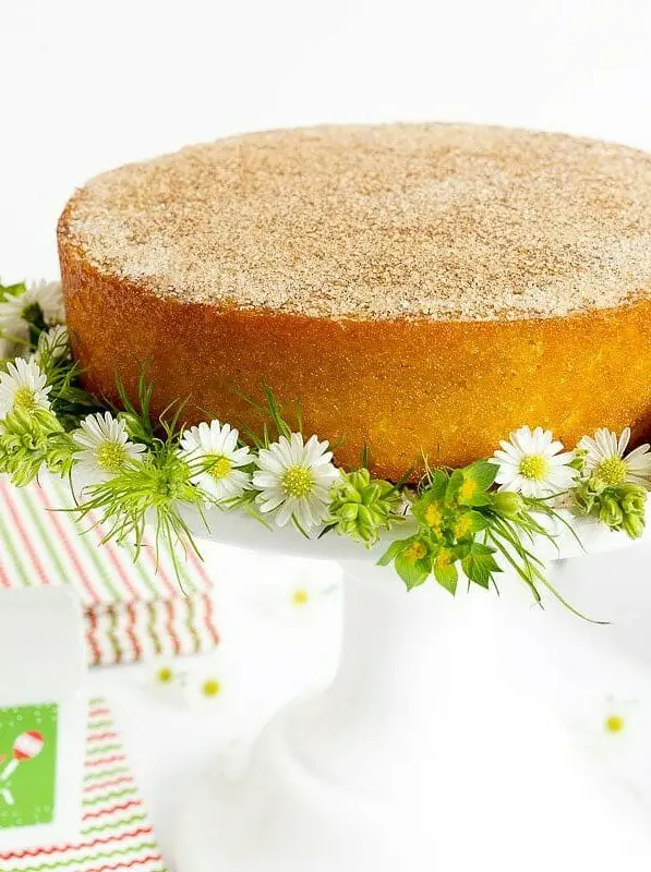 Mexican Churro Cake