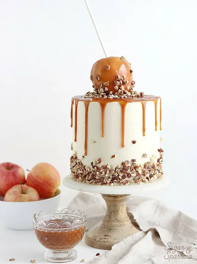 Salted Caramel Apple Cake