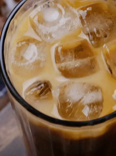 Hazelnut Iced Coffee