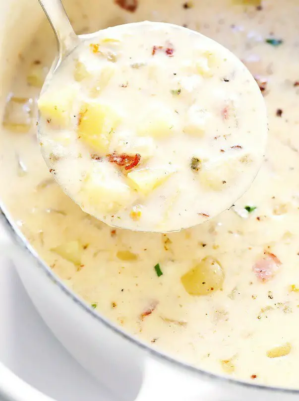 Clam Chowder Soup