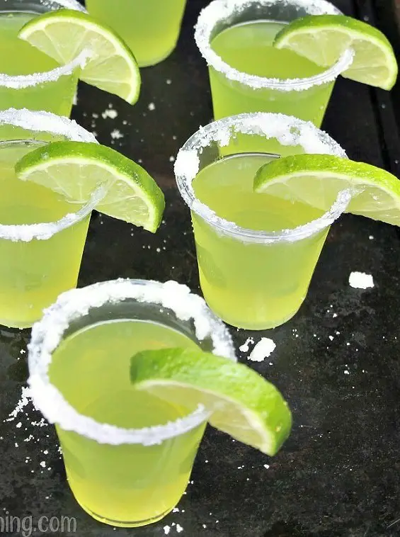 Margarita Jello Shots