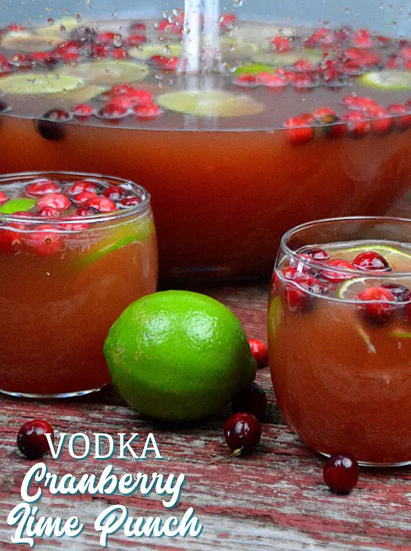 Cranberry Lime Punch