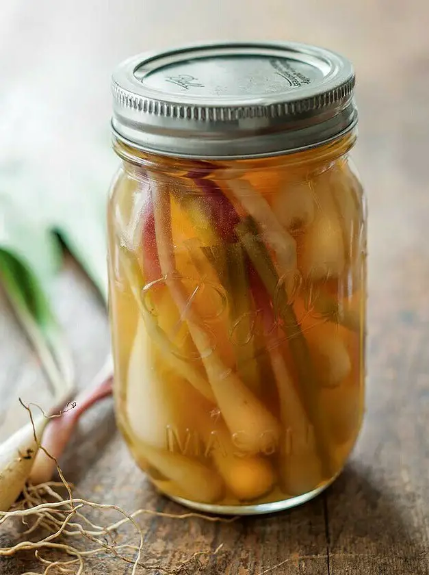 Quick Pickled Ramps