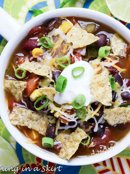 Vegetarian Crock Pot Taco Soup