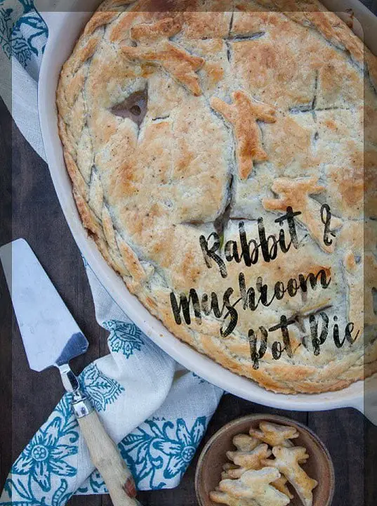 Rabbit Pot Pie with Wild Mushrooms