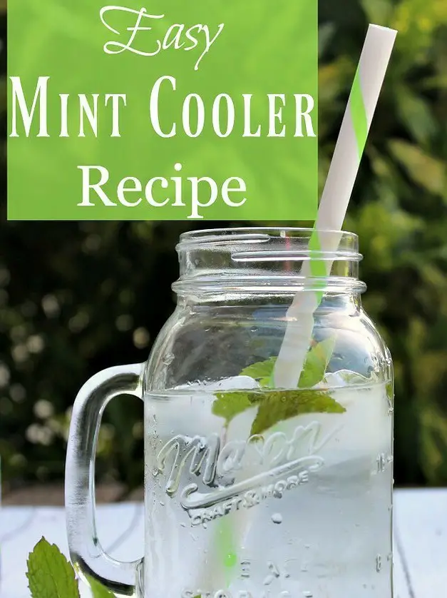 Mint Cooler