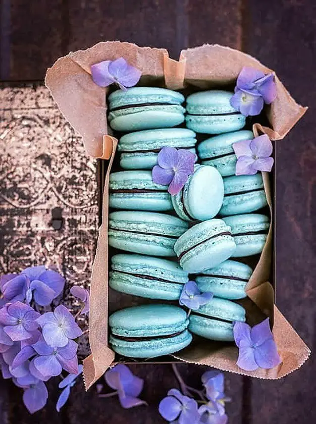 Vegan Aquafaba Macarons