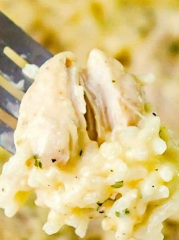 Instant Pot Garlic Parmesan Chicken and Rice