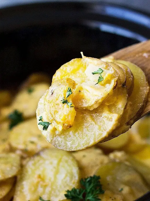 Crock Pot Potato au Gratin