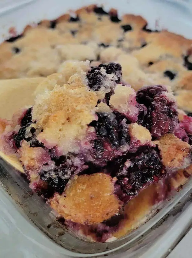 Bisquick Blackberry Cobbler