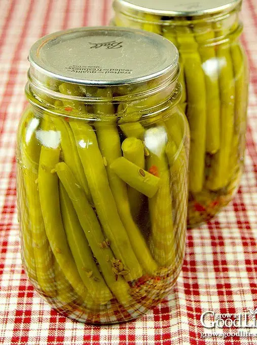 Old-Fashioned Pickled Dilly Beans