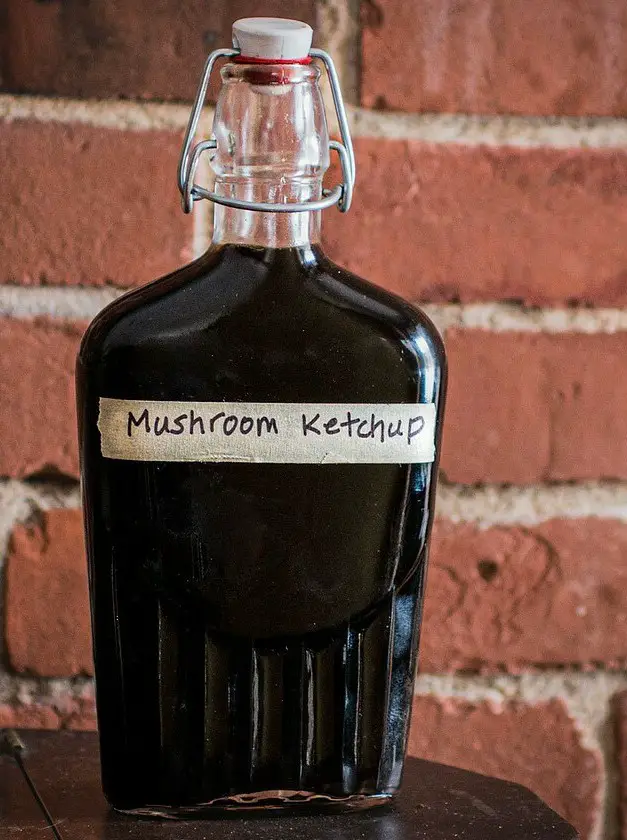 Wild Mushroom Ketchup