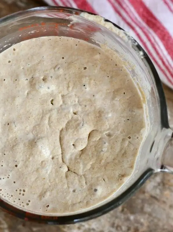 Quick Kefir or Kombucha Sourdough Starter