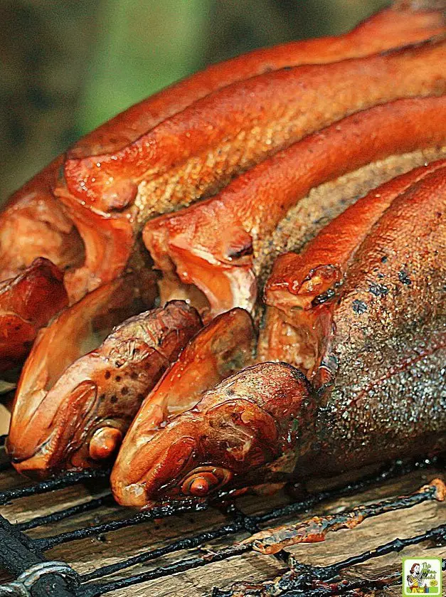 Smoked Trout