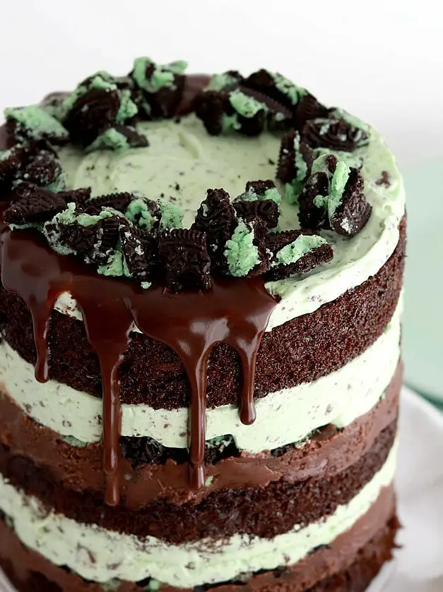 Mint Chocolate Chip Ice Cream Cake