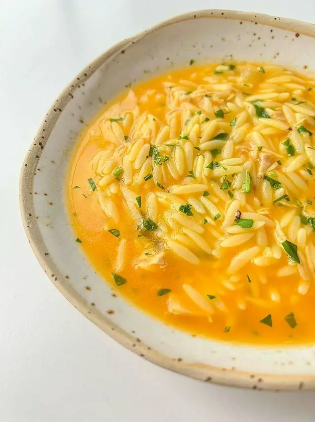 Hidden Veggie Orzo Soup