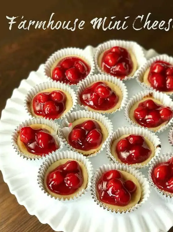 Individual Miniature Cheesecakes