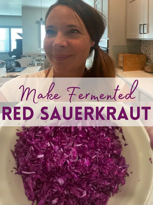 Fermented Red Sauerkraut