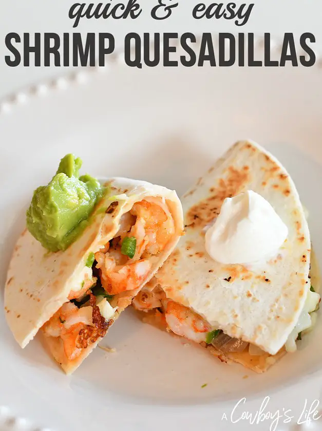 Shrimp Quesadilla